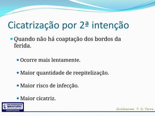 Cicatrização por 2ª intenção
⚫Quando não há coaptação dos bordos da
ferida.
⚫Ocorre mais lentamente.
⚫Maior quantidade de reepitelização.
⚫Maior risco de infecção.
⚫Maior cicatriz.
 
