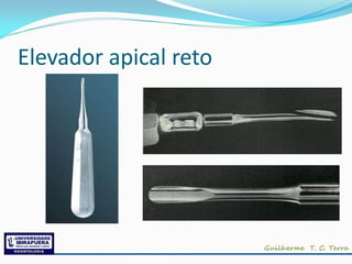 Elevador apical reto
 