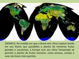 EXEMPLO: Na medida em que o Brasil tem clima tropical úmido
em seu litoral, que possibilita o plantio de inúmeras frutas
grandes e suculentas, a Europa com seu clima Temperado só
permite o plantio de frutas menores, como amoras, cerejas e
uvas nos locais mais quentes.
 