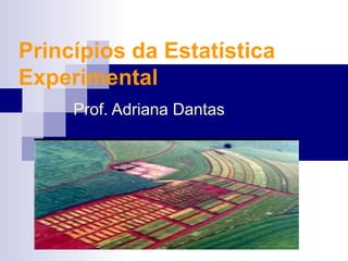 Princípios da Estatística
Experimental
     Prof. Adriana Dantas
 