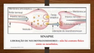 SINAPSE
LIBERAÇÃO DE NEUROTRANSMISSORES – não há contato físico
entre os neurônios.
Neuropsicóloga GISELE CALIA
 