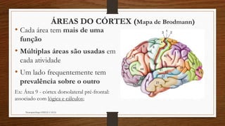 ÁREAS DO CÓRTEX (Mapa de Brodmann)
• Cada área tem mais de uma
função
• Múltiplas áreas são usadas em
cada atividade
• Um lado frequentemente tem
prevalência sobre o outro
Ex: Área 9 - córtex dorsolateral pré-frontal:
associado com lógica e cálculos;
Neuropsicóloga GISELE CALIA
 