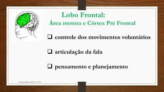 Lobo Frontal:
Área motora e Córtex Pré Frontal
 controle dos movimentos voluntários
 articulação da fala
 pensamento e planejamento
Neuropsicóloga GISELE CALIA
 