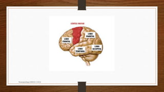 Neuropsicóloga GISELE CALIA
 