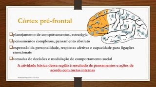 Córtex pré-frontal
planejamento de comportamentos, estratégia
pensamentos complexos, pensamento abstrato
expressão da personalidade, respostas afetivas e capacidade para ligações
emocionais
tomadas de decisões e modulação de comportamento social
A atividade básica dessa região é resultado de pensamentos e ações de
acordo com metas internas
Neuropsicóloga GISELE CALIA
 