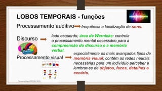 Neuropsicóloga GISELE CALIA
LOBOS TEMPORAIS - funções
Processamento auditivo frequência e localização de sons.
Discurso
lado esquerdo; área de Wernicke: controla
o processamento mental necessário para a
compreensão do discurso e a memória
verbal.
Processamento visual
especialmente os mais avançados tipos de
memória visual; contém as redes neurais
necessárias para um indivíduo perceber e
lembrar-se de objetos, faces, detalhes e
cenário.
 