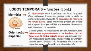Neuropsicóloga GISELE CALIA
LOBOS TEMPORAIS – funções (cont.)
Memória O hipocampo está localizado no lobo temporal;
Essa estrutura é uma das partes mais cruciais do
córtex pois está envolvida na retenção da memória
de longo prazo. Estas memórias podem ser desde
fatos aprendidos por hábito, a memórias de eventos
que ocorreram no passado.
Orientação
espacial
Grande papel na capacidade de um indivíduo para
orientar-se espacialmente e se lembrar de um
lugar que já tenha estado antes. As pessoas com
um hipocampo danificado, muitas vezes se perdem
porque seus cérebros são incapazes de processar,
espacialmente, onde estão e onde estão indo.
 