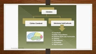 Neuropsicóloga GISELE CALIA
 