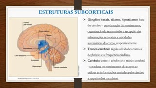  Gânglios basais, tálamo, hipotálamo: base
do cérebro - coordenação de movimentos,
organização da transmissão e recepção das
informações sensoriais e atividades
automáticas do corpo, respectivamente.
 Tronco cerebral: regula atividades como a
deglutição e a frequência cardíaca.
 Cerebelo: entre o cérebro e o tronco cerebral
- coordena os movimentos do corpo ao
utilizar as informações enviadas pelo cérebro
a respeito dos membros.
ESTRUTURAS SUBCORTICAIS
Neuropsicóloga GISELE CALIA
 
