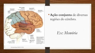 Ex: Memória
Neuropsicóloga GISELE CALIA
•Ação conjunta de diversas
regiões do cérebro.
 