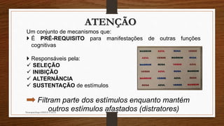 ATENÇÃO
Um conjunto de mecanismos que:
 É PRÉ-REQUISITO para manifestações de outras funções
cognitivas
 Responsáveis pela:
 SELEÇÃO
 INIBIÇÃO
 ALTERNÂNCIA
 SUSTENTAÇÃO de estímulos
Filtram parte dos estímulos enquanto mantém
outros estímulos afastados (distratores)Neuropsicóloga GISELE CALIA
 