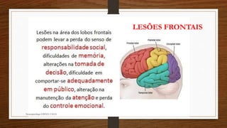 Neuropsicóloga GISELE CALIA
LESÕES FRONTAIS
 