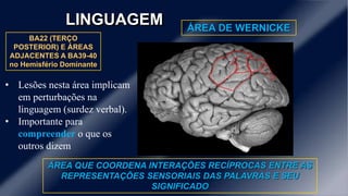 LINGUAGEM ÁREA DE WERNICKE
BA22 (TERÇO
POSTERIOR) E ÁREAS
ADJACENTES A BA39-40
no Hemisfério Dominante
ÁREA QUE COORDENA INTERAÇÕES RECÍPROCAS ENTRE AS
REPRESENTAÇÕES SENSORIAIS DAS PALAVRAS E SEU
SIGNIFICADO
• Lesões nesta área implicam
em perturbações na
linguagem (surdez verbal).
• Importante para
compreender o que os
outros dizem
 