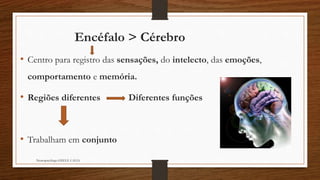 Encéfalo > Cérebro
• Centro para registro das sensações, do intelecto, das emoções,
comportamento e memória.
• Regiões diferentes Diferentes funções
• Trabalham em conjunto
Neuropsicóloga GISELE CALIA
 