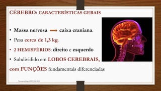 CÉREBRO: CARACTERÍSTICAS GERAIS
• Massa nervosa caixa craniana.
• Pesa cerca de 1,3 kg.
• 2 HEMISFÉRIOS: direito e esquerdo
• Subdividido em LOBOS CEREBRAIS,
com FUNÇÕES fundamentais diferenciadas
Neuropsicóloga GISELE CALIA
 
