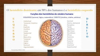 Neuropsicóloga GISELE CALIA
O hemisfério dominante em 98% dos humanos é o hemisfério esquerdo
D
I
R
E
I
T
O
E
S
Q
U
E
R
D
O
 