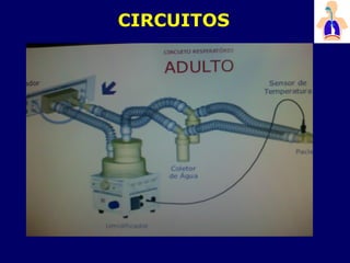 CIRCUITOS
 