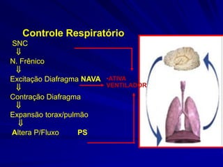 Controle Respiratório
SNC

N. Frênico

Excitação Diafragma NAVA

Contração Diafragma

Expansão torax/pulmão

Altera P/Fluxo PS
•ATIVA
VENTILADOR
 