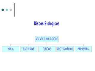 Ríscos Biológicos
VÍRUS BACTÉRIAS FUNGOS PROTOZOÁRIOS PARASITAS
AGENTES BIOLÓGICOS
 
