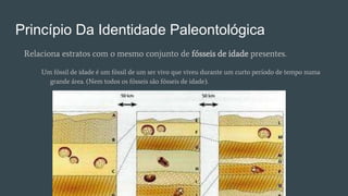 Princípios De Estratigrafia | PPTX