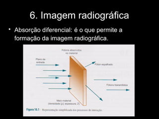 6. Imagem radiográfica
• Absorção diferencial: é o que permite a
  formação da imagem radiográfica.
 