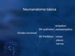 Neuroanatomia básica



                                simpático
                    SN autônomo parassimpático
Divisão funcional
                    SN Periférico raízes
                                   plexos
                                   nervos
 