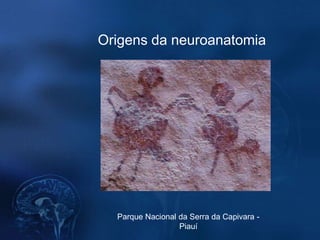 Origens da neuroanatomia




  Parque Nacional da Serra da Capivara -
                  Piauí
 