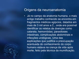 Origens da neuroanatomia
• Já no campo da anatomia humana, o mais
  antigo trabalho conhecido se encontra em
  fragmentos médicos egípcios, datados em
  mais de 3 mil anos a.C., onde era possível
  identificar os relatos de doenças como
  catarata, hemorróidas, parasitoses
  intestinais, complicações abdominais e
  infecções urológicas. Uma das
  explicações que justifica a preocupação
  acentuada do conhecimento do corpo
  humano estava na crença da vida após
  morte, feito pela técnica da mumificação.
 