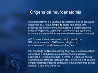 Origens da neuroanatomia

# Neuroanatomia é a variação da anatomia que se presta ao
estudo do SN. Neste campo do saber não existe uma
preocupação grande entre organização e classificação de
todos os órgãos do corpo, bem como a comparação entre
humanos e animais infra-humanos não é o assunto principal.

# O foco central na neuroanatomia é o estudo do
SN, principalmente o SNC, e sua relação com o
comportamento manifesto e suas funções.

# É finalidade da Neuroanatomia descrever e operacionalizar
as funções e estruturas que compreendem a Medula
Espinhal, o Tronco Encefálico, a Ponte, o Bulbo, os nervos
cranianos, a Formação Reticular, etc. Porém, em vez de uma
simples descrição dessas estruturas, o funcionamento destas
também é alvo dos cientistas.
 