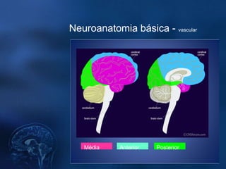 Neuroanatomia básica - vascular




   Média    Anterior   Posterior
 