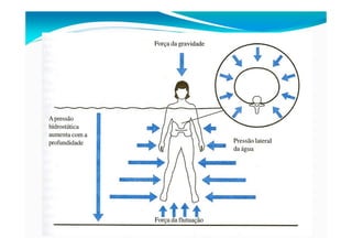 Princípios físicos da água