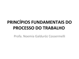 PRINCÍPIOS FUNDAMENTAIS DO 
PROCESSO DO TRABALHO 
Profa. Noemia Galduróz Cossermelli 
 