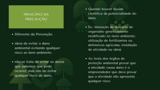 PRINCÍPIOS GERAIS DO DIREITO AMBIENTAL. SLIDES AULA 2.pdf