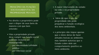 PRINCÍPIOS GERAIS DO DIREITO AMBIENTAL. SLIDES AULA 2.pdf