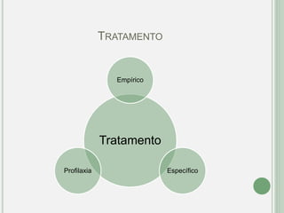 TRATAMENTO
Tratamento
Empírico
Específico
Profilaxia
 