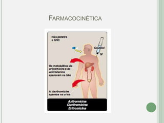 FARMACOCINÉTICA
 