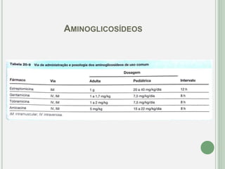 AMINOGLICOSÍDEOS
 