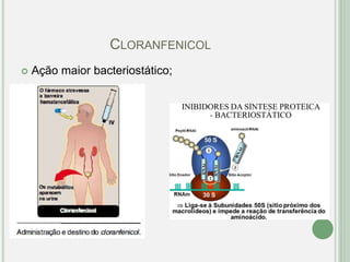 CLORANFENICOL
 Ação maior bacteriostático;
 