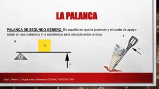 PALANCA DE SEGUNDO GÉNERO Es aquélla en que la potencia y el punto de apoyo
están en sus extremos y la resistencia está ubicada entre ambos
LA PALANCA
Gay C, Berini L. Cirugía bucal. Barcelona: OCÉANO / ERGÓN; 2004
 