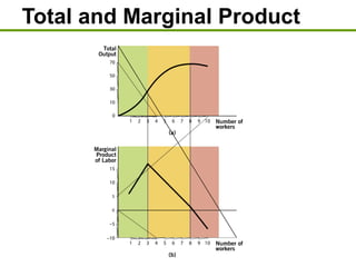 Total and Marginal Product
 