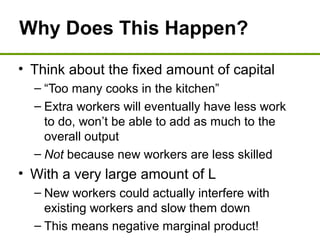 Why Does This Happen?
• Think about the fixed amount of capital
– “Too many cooks in the kitchen”
– Extra workers will eventually have less work
to do, won’t be able to add as much to the
overall output
– Not because new workers are less skilled
• With a very large amount of L
– New workers could actually interfere with
existing workers and slow them down
– This means negative marginal product!
 