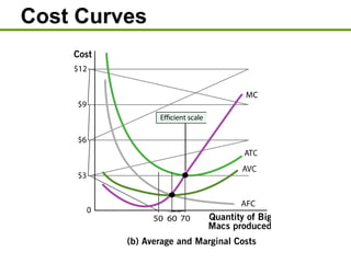 Cost Curves
 