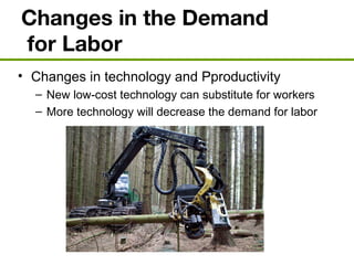 Changes in the Demand
for Labor
• Changes in technology and Pproductivity
– New low-cost technology can substitute for workers
– More technology will decrease the demand for labor
 