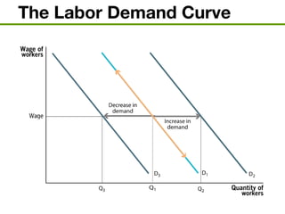 The Labor Demand Curve
 
