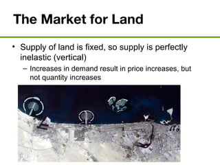The Market for Land
• Supply of land is fixed, so supply is perfectly
inelastic (vertical)
– Increases in demand result in price increases, but
not quantity increases
 
