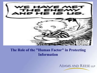 The Role of the "Human Factor" in Protecting
Information
 