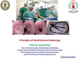 Principles of Small Animal Endoscopy
Prof. Dr. Awad Rizk
Prof. of Veterinary Surgery, Anesthesiology and Radiology
Faculty of Veterinary Medicine, Mansoura University, Mansoura, Egypt
Ph.D. University of Veterinary Medicine Hannover, Germany
Guest Prof. University of Leipzig, Leipzig, Germany
Prof.Dr.Awad Rizk
 