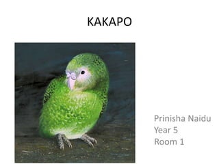 KAKAPO




         Prinisha Naidu
         Year 5
         Room 1
 