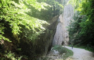 Discover Romania ...Zărneşti Canyon   