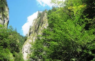 Discover Romania ...Zărneşti Canyon   